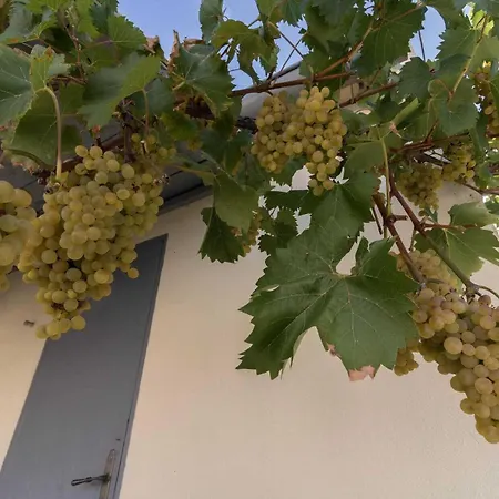 Les Oliviers Apartman Muret